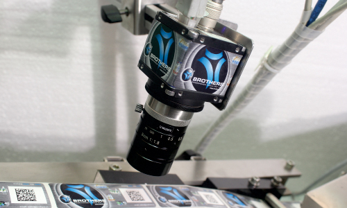 Vision System